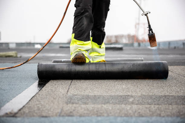 Best Asphalt Shingle Roofing  in Independence, KY