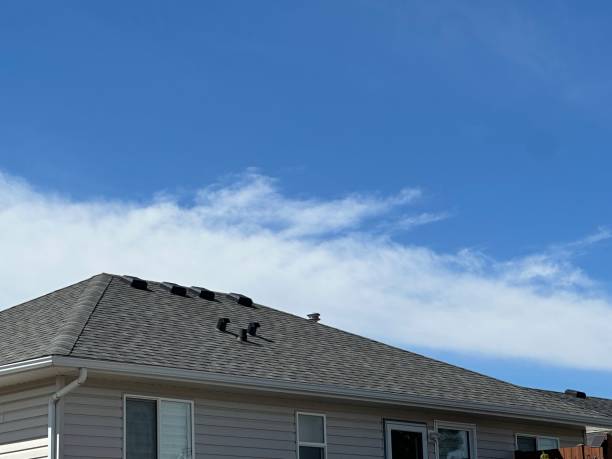 Best Gutter Installation and Repair  in Independence, KY